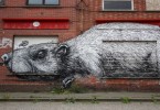 roa doel graffiti belgium