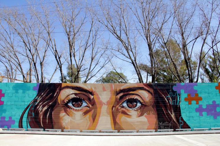 martin ron street artist buenos aires street art murales buenosairesstreeetart.com