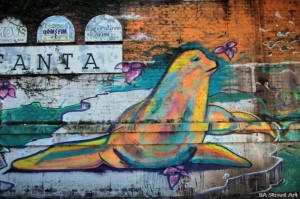 buenos aires graffiti foca seal nicee naranja beach girls buenosairesstreetart.com