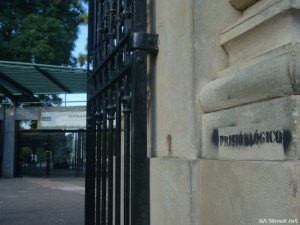 zoologico buenos aires graffiti tour zoo buenosairesstreetart.com