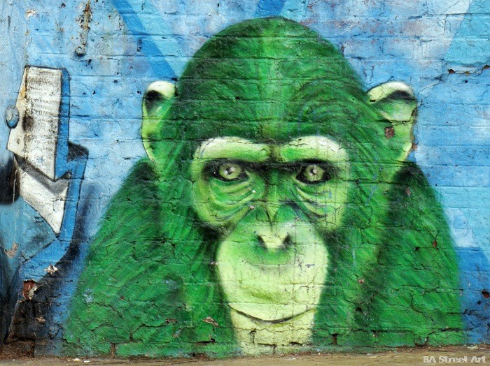 zoo buenos aires chimpanzee ice street art buenosairesstreetart.com 