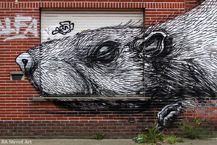 street art belgium roa animals art doel